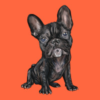 French Bulldog Premium Hoodie | Teevron