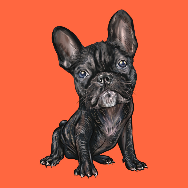 French Bulldog Premium Hoodie by BarkalooDesign | Teevron