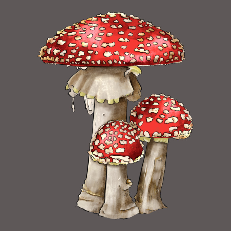 Autumn Mushroom Illustrations Premium Hoodie by LillyAllenDesigns | Teevron