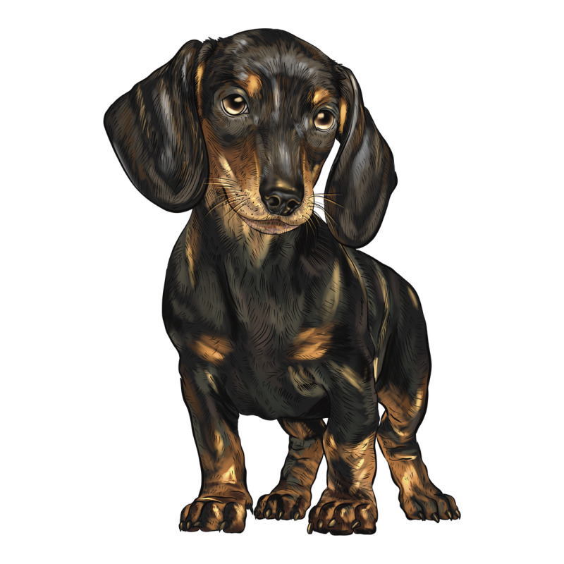 Dachshund Premium Hoodie by BarkalooDesign | Teevron