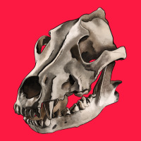 Wolf Skull Zipper Hoodie | Teevron