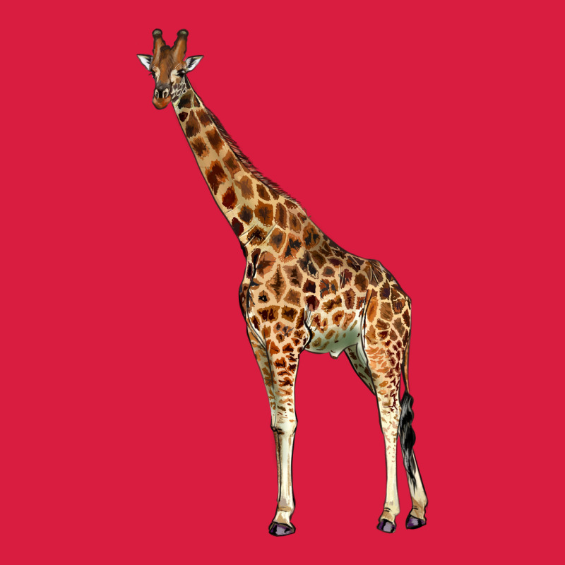 Giraffe Premium Hoodie by LillyAllenDesigns | Teevron