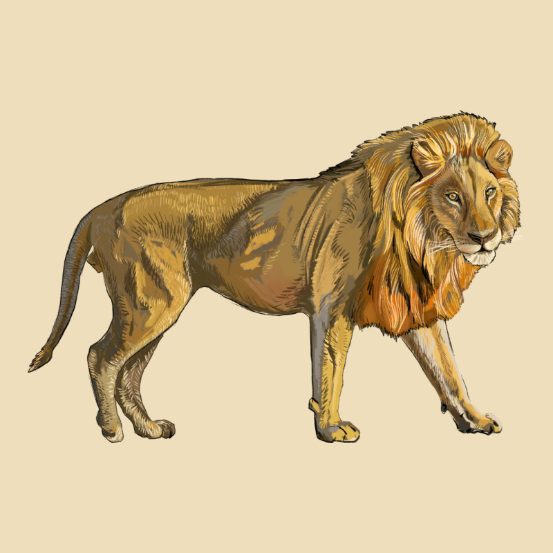 Lion Premium Hoodie by LillyAllenDesigns | Teevron
