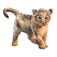 baby lion | Teevron