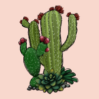 Cactus Urban Hoodie | Teevron