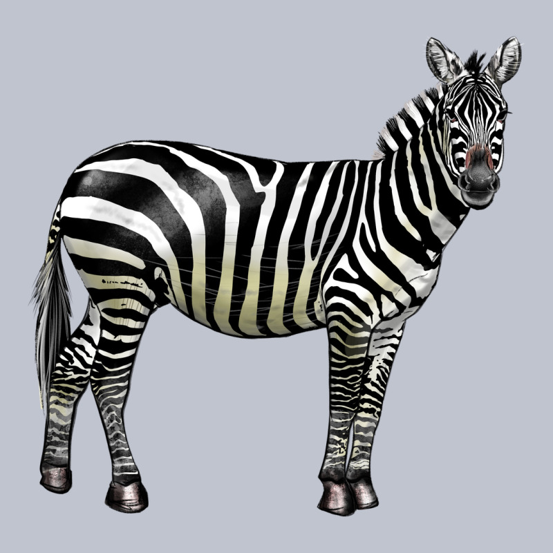Zebra Premium Hoodie by LillyAllenDesigns | Teevron