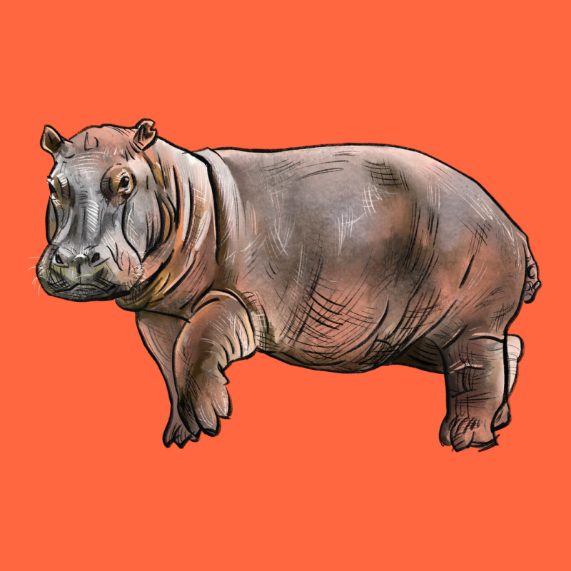 Hippopotamus Premium Hoodie by LillyAllenDesigns | Teevron