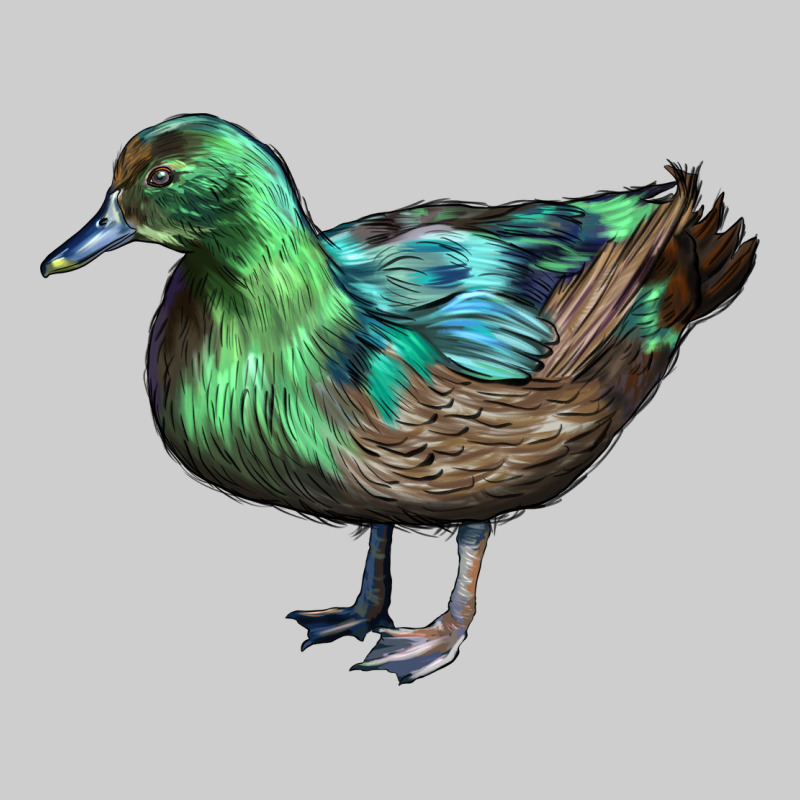 Cayuga Duck Premium Tee by LillyAllenDesigns | Teevron