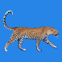 Leopard Premium Hoodie | Teevron