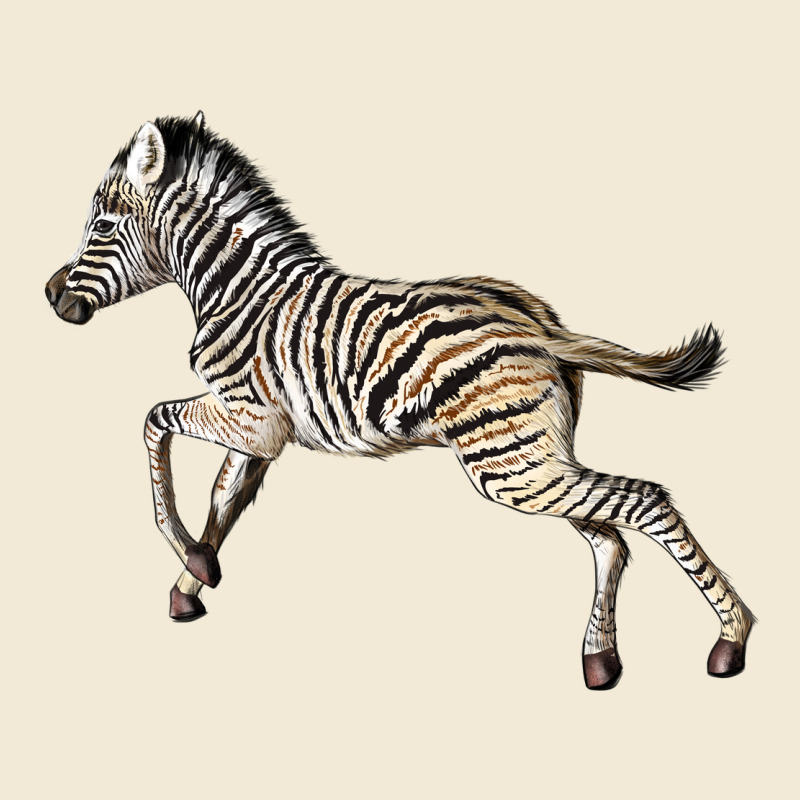 Baby Zebra Premium Hoodie by LillyAllenDesigns | Teevron