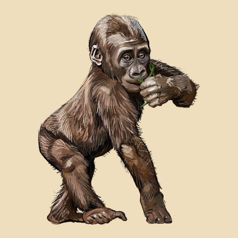 Baby Gorilla Premium Hoodie by LillyAllenDesigns | Teevron