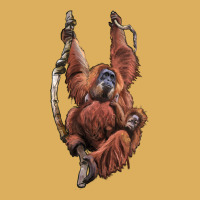 Orangutan And Baby Premium Hoodie | Teevron