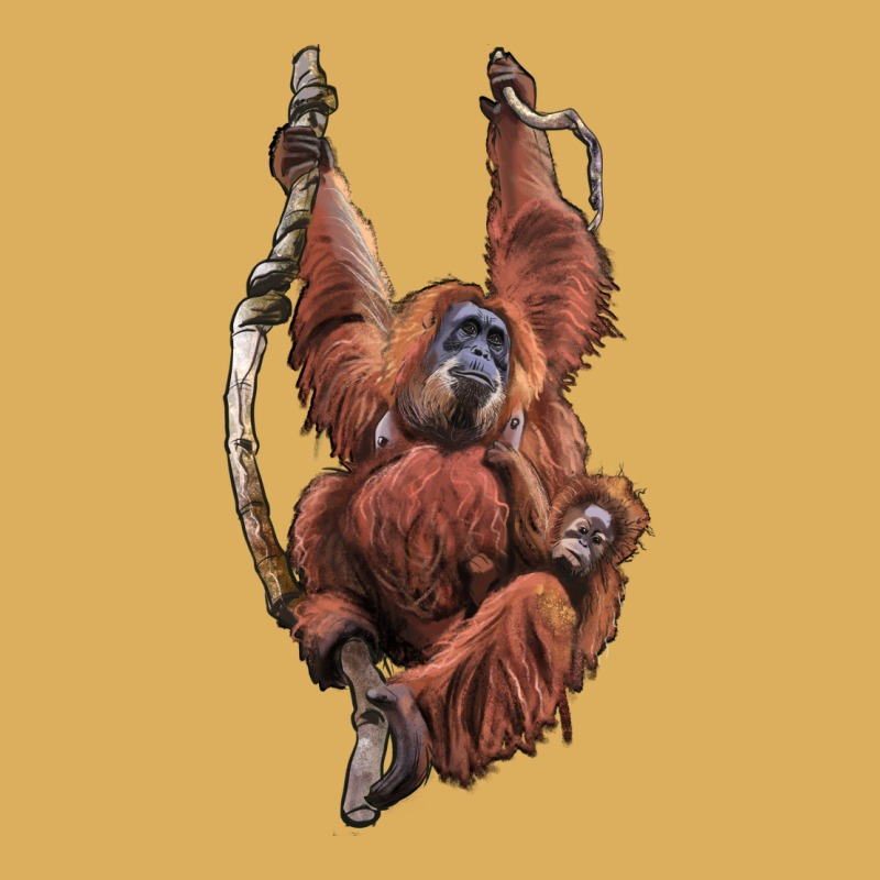 Orangutan And Baby Premium Hoodie by LillyAllenDesigns | Teevron
