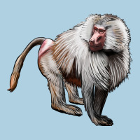 Baboon Premium Hoodie | Teevron