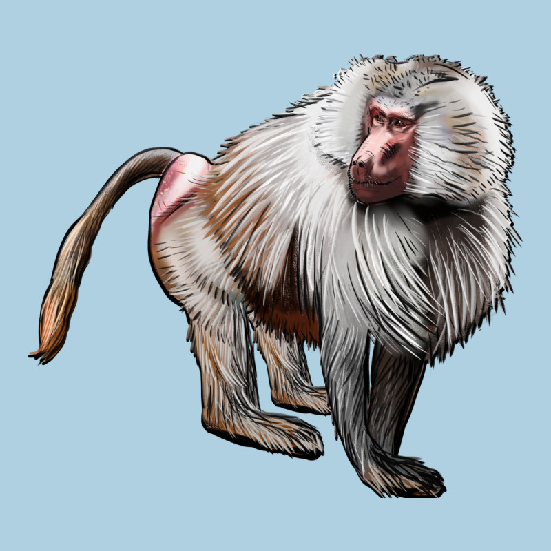 Baboon Premium Hoodie by LillyAllenDesigns | Teevron