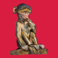 Baby Baboon Illustrations Premium Hoodie | Teevron