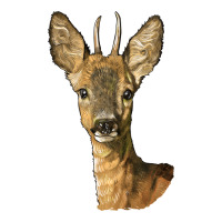 Red Brocket Deer Head Premium Tee | Teevron