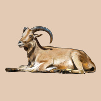 Spanish Goat Urban Hoodie | Teevron