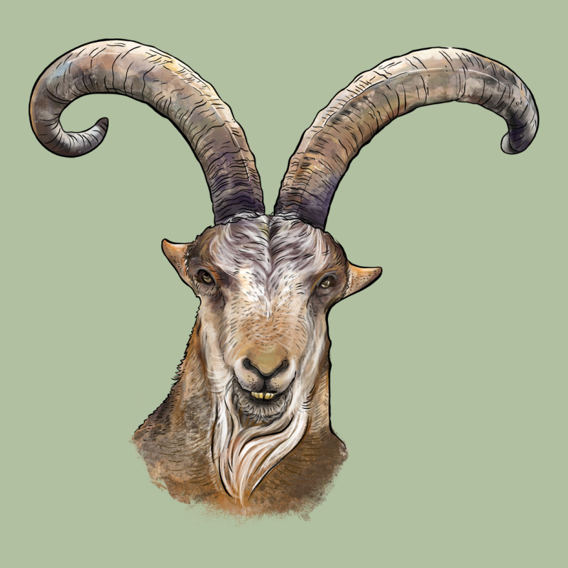 Spanish Goat Face Urban Hoodie by LillyAllenDesigns | Teevron