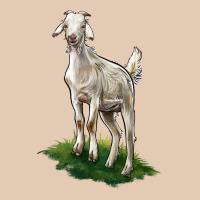 Kiko Goat Urban Hoodie | Teevron