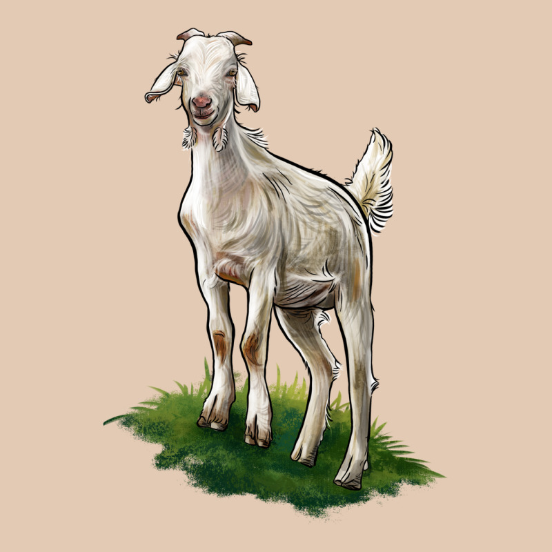 Kiko Goat Urban Hoodie by LillyAllenDesigns | Teevron