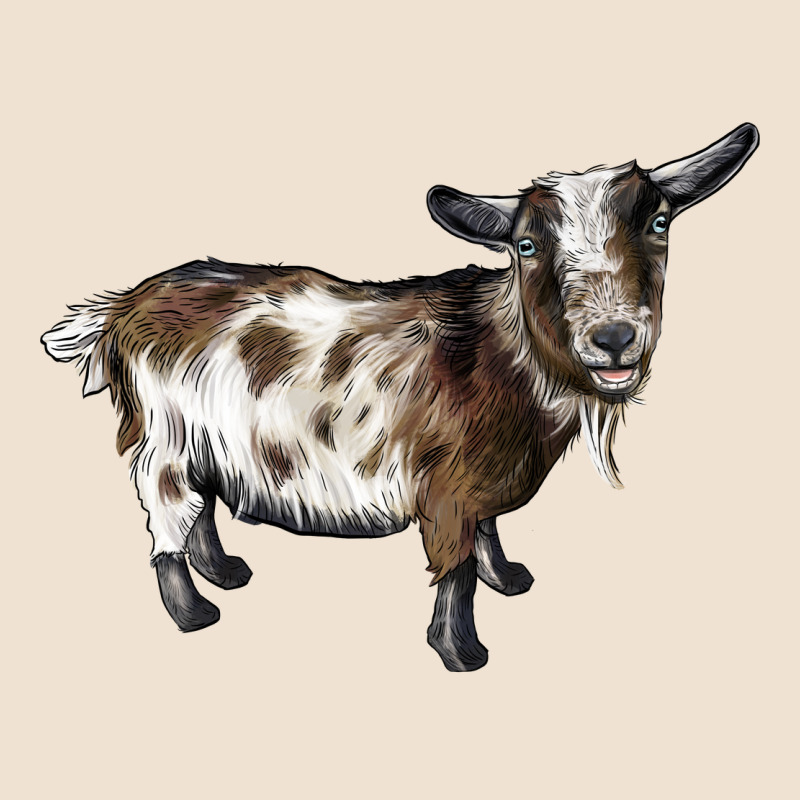 Nigerian Dwarf Goat Urban Hoodie by LillyAllenDesigns | Teevron