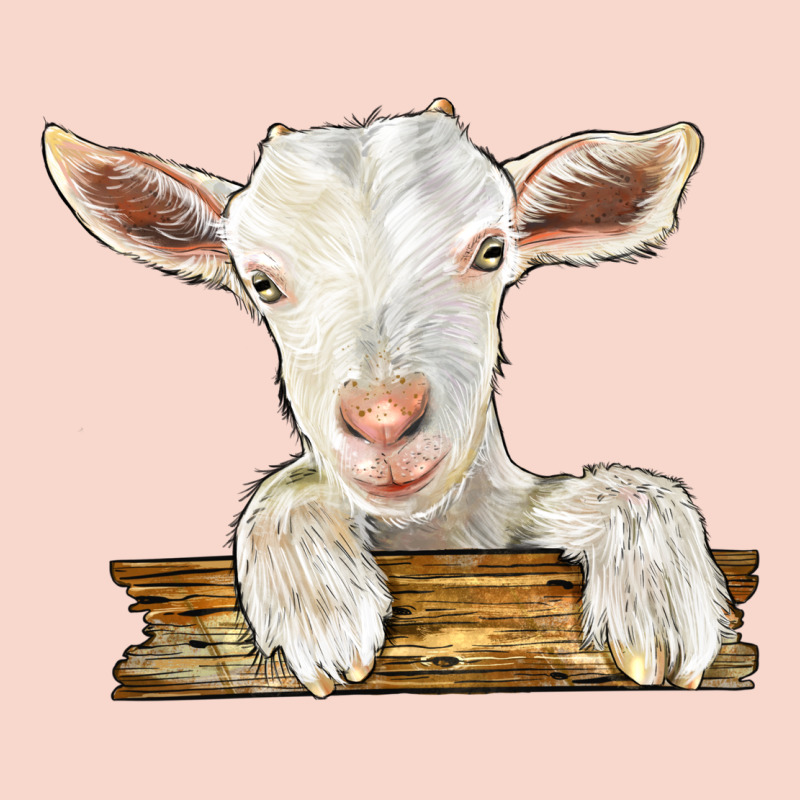 Baby Cashmere Goat Urban Hoodie by LillyAllenDesigns | Teevron
