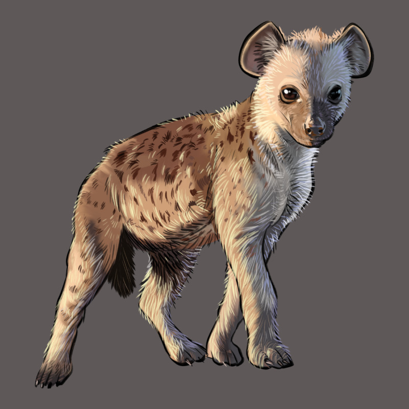 Baby Hyena Illustrations Premium Hoodie by LillyAllenDesigns | Teevron