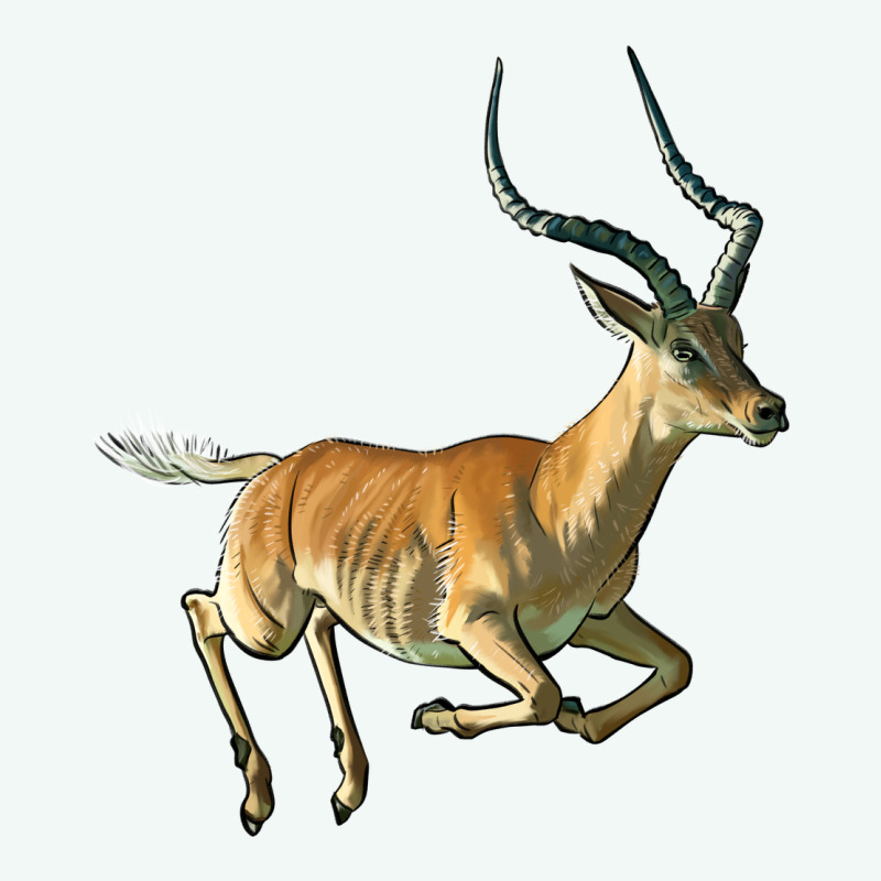 Impala Antelope Illustrations Premium Hoodie by LillyAllenDesigns | Teevron