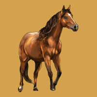 Quarter Horse Urban Hoodie | Teevron