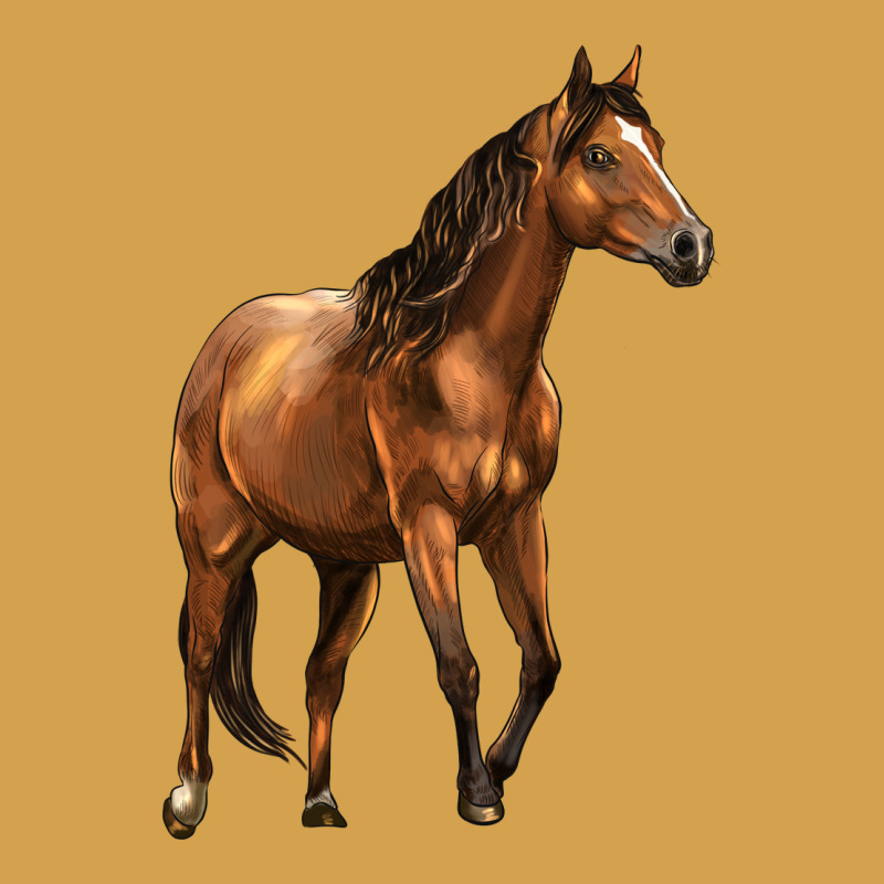 Quarter Horse Urban Hoodie by LillyAllenDesigns | Teevron