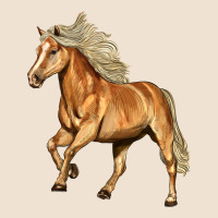 Haflinger Horse Urban Hoodie | Teevron