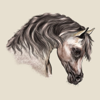 Arabian Horse Urban Hoodie | Teevron