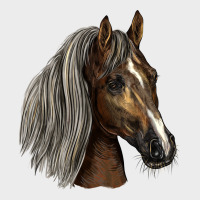Tennessee Horse Urban Hoodie | Teevron
