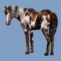 Mustang Horse Urban Hoodie | Teevron
