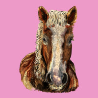 Belgian Horse Urban Hoodie | Teevron