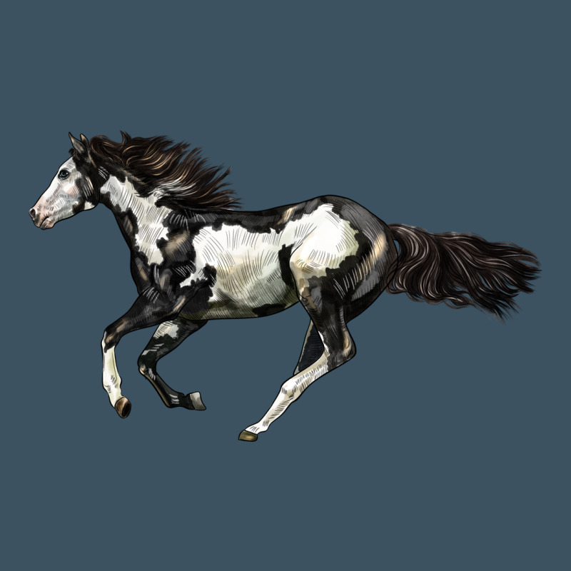 American Paint Horse Urban Hoodie by LillyAllenDesigns | Teevron
