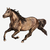 Missouri Fox Trotter Horse Urban Hoodie | Teevron