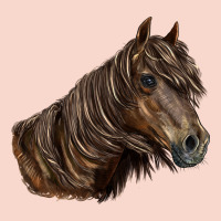 Missouri Horse Urban Hoodie | Teevron
