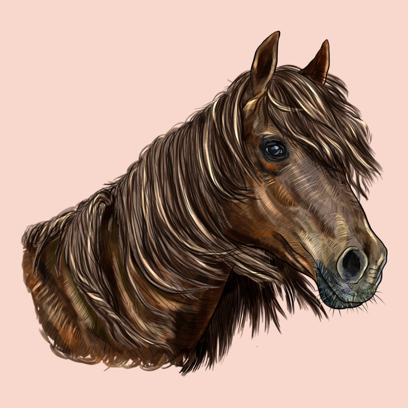 Missouri Horse Urban Hoodie by LillyAllenDesigns | Teevron