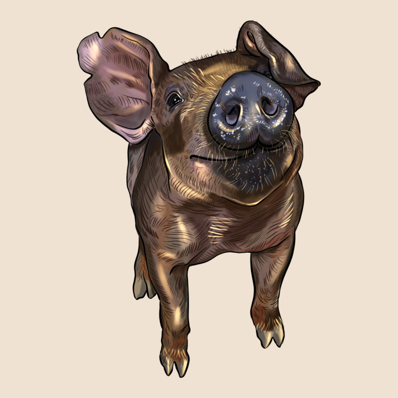 Baby Duroc Pig Urban Hoodie by LillyAllenDesigns | Teevron