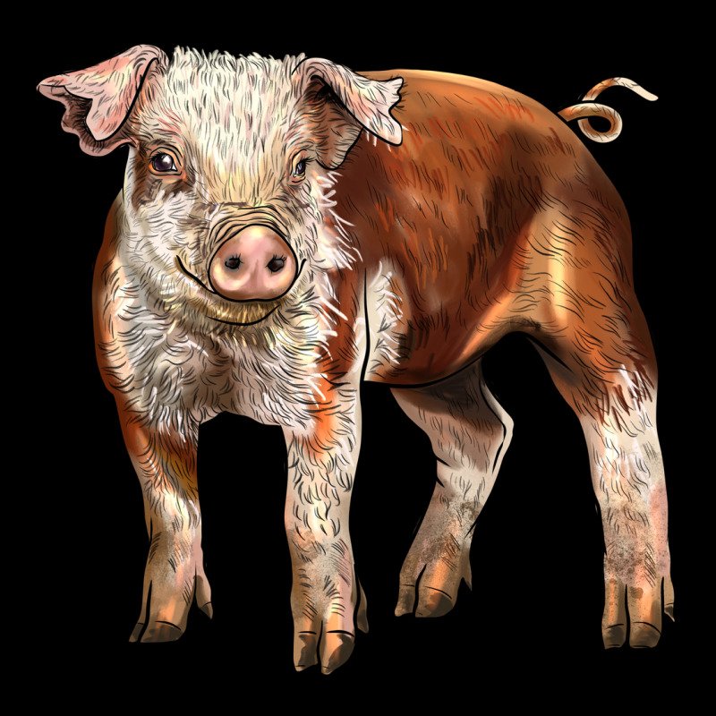 Baby Hereford Pig Urban Hoodie by LillyAllenDesigns | Teevron