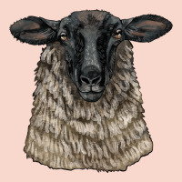 Suffolk Sheep Head Urban Hoodie | Teevron