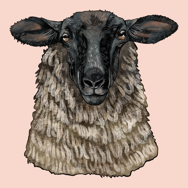 Suffolk Sheep Head Urban Hoodie by LillyAllenDesigns | Teevron