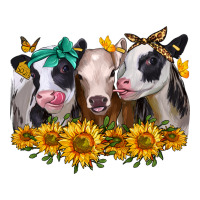 sunflower heifers | Teevron