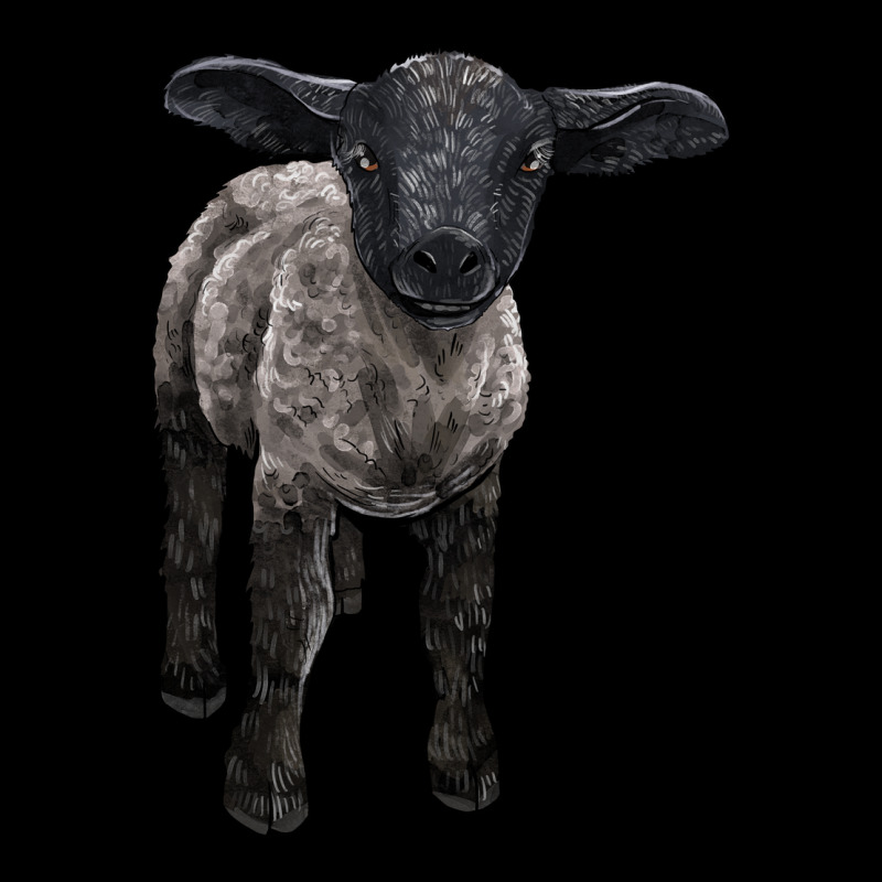 Suffolk Baby Sheep Urban Hoodie by LillyAllenDesigns | Teevron