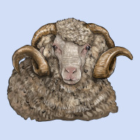 Merino Wool Sheep Head Urban Hoodie | Teevron
