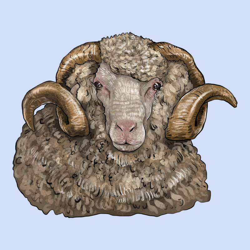 Merino Wool Sheep Head Urban Hoodie by LillyAllenDesigns | Teevron