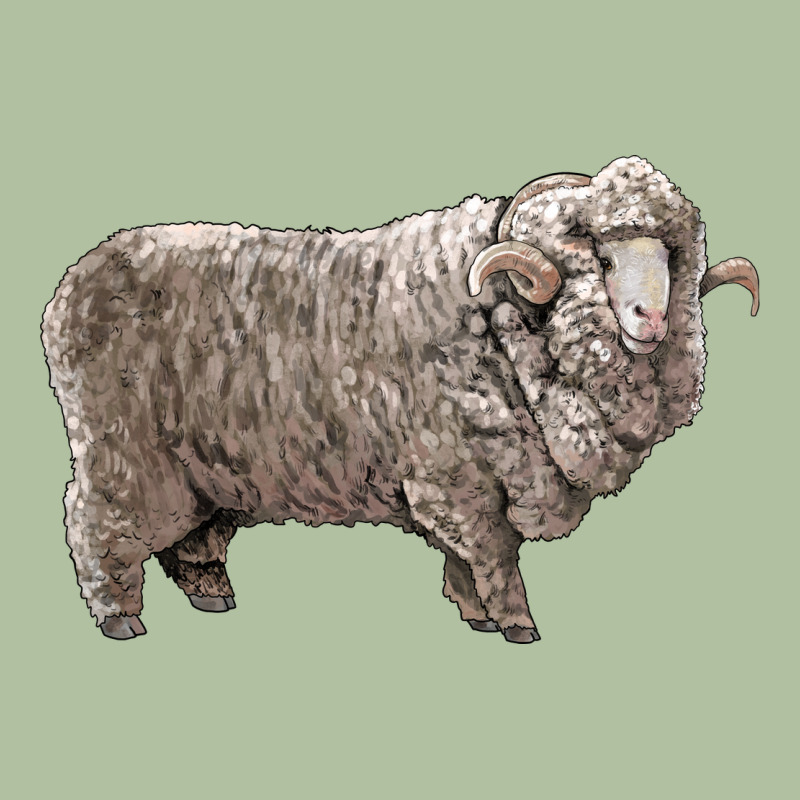 Rambouillet Sheep Urban Hoodie by LillyAllenDesigns | Teevron