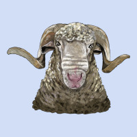 Rambouillet Sheep Head Urban Hoodie | Teevron